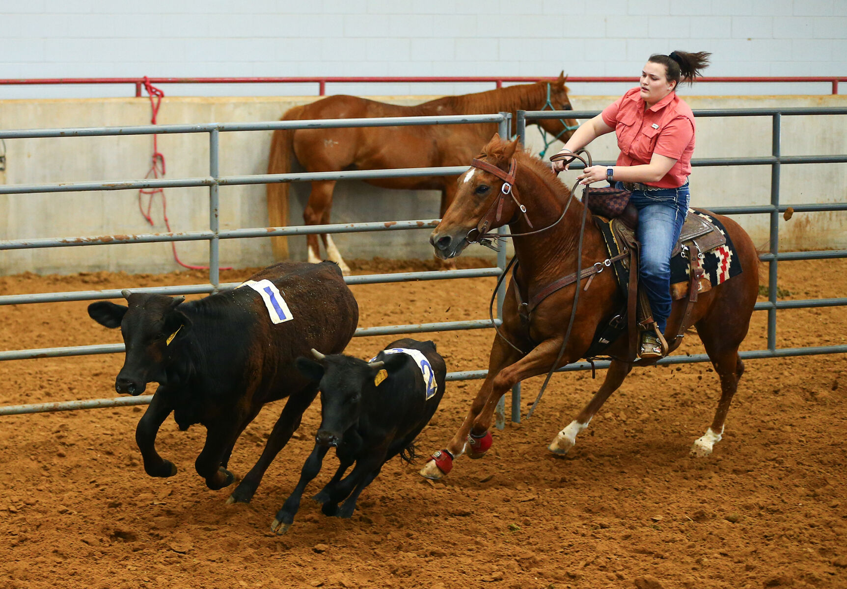 Ranch Sorting of America